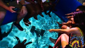 Ripley’s Aquarium of Myrtle Beach Launches Brand New Glass Bottom Boat Adventure