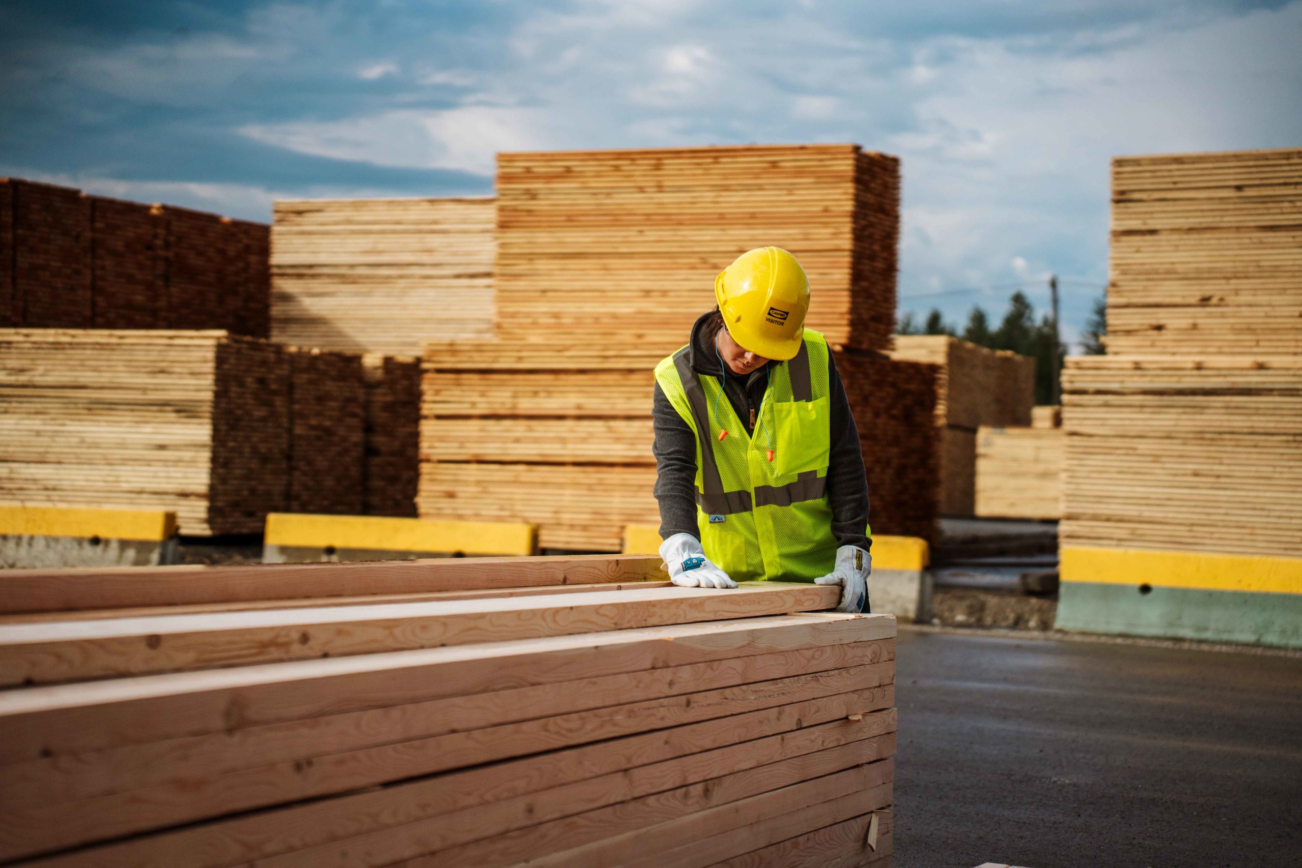 Forestry Products & Port Services